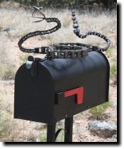 [ Rattlesnake on the mailbox. ]