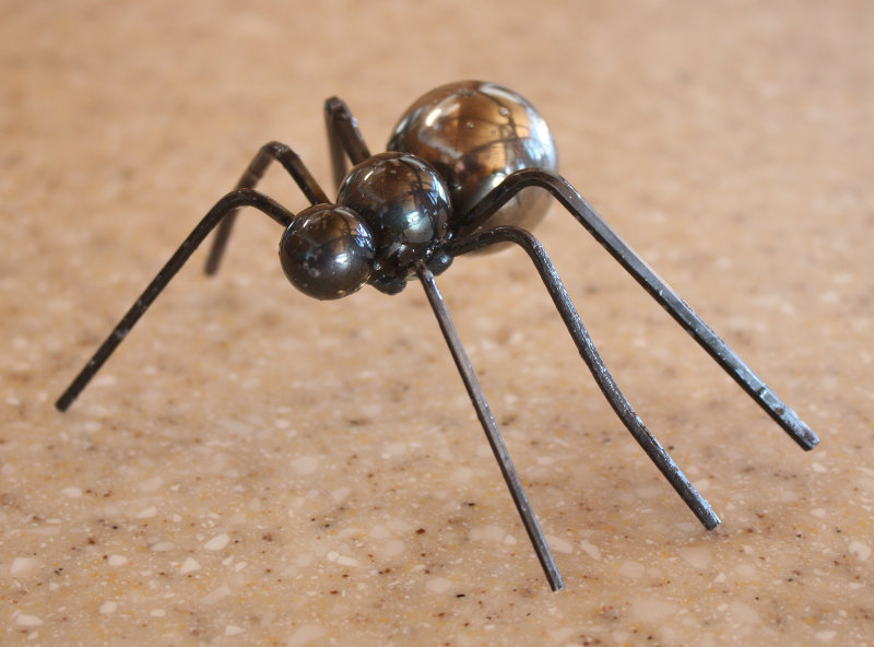 [Ant]